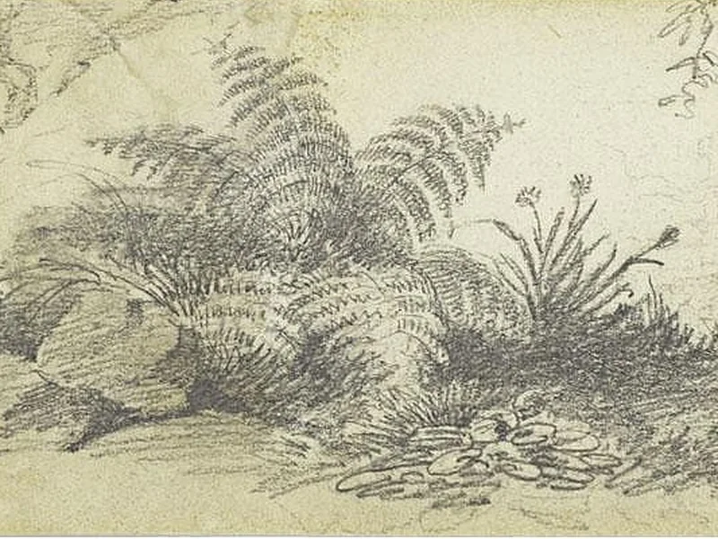 1848-Susan Stuart Frackelton - Studio